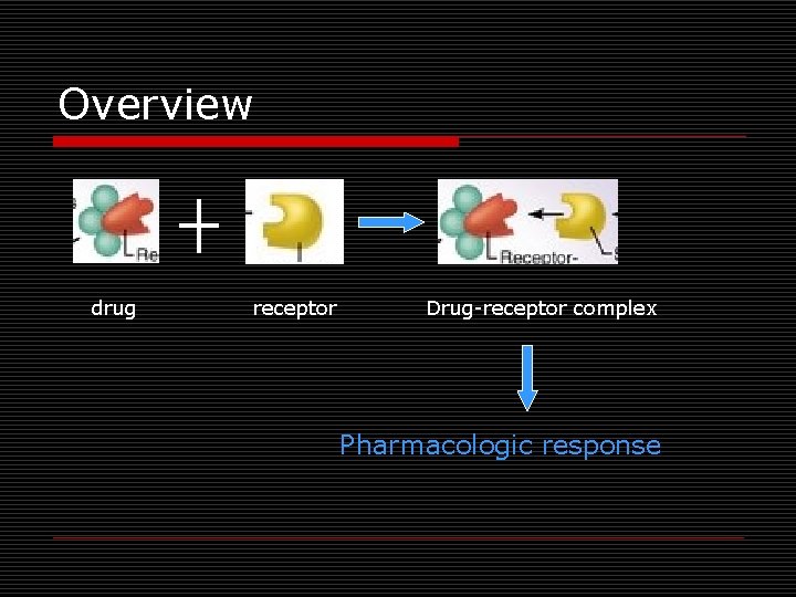 Overview drug receptor Drug-receptor complex Pharmacologic response 