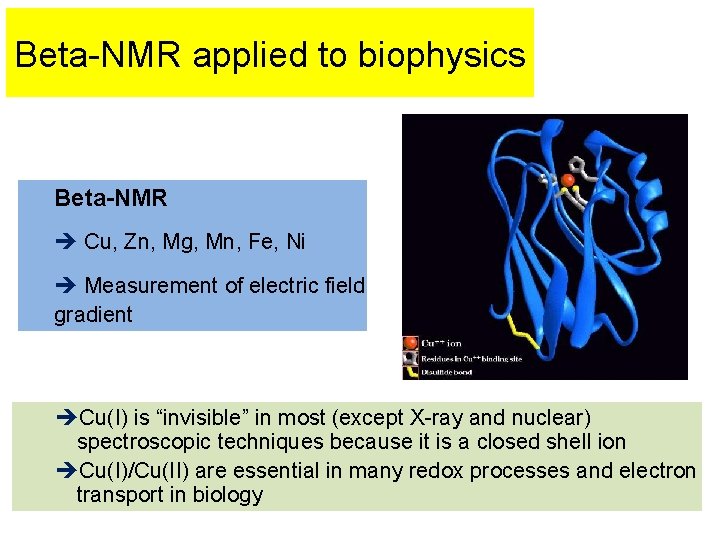 Beta-NMR applied to biophysics Beta-NMR Cu, Zn, Mg, Mn, Fe, Ni Measurement of electric
