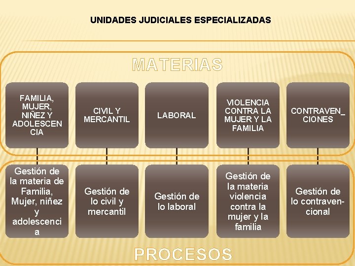 UNIDADES JUDICIALES ESPECIALIZADAS MATERIAS FAMILIA, MUJER, NIÑEZ Y ADOLESCEN CIA Gestión de la materia