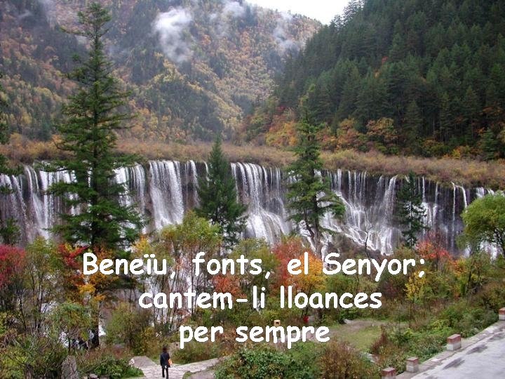 Beneïu, fonts, el Senyor; cantem-li lloances per sempre 