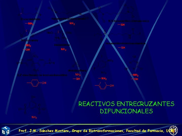 REACTIVOS ENTRECRUZANTES DIFUNCIONALES Prof. J. M. Sánchez Montero, Grupo de Biotransformaciones, Facultad de Farmacia,