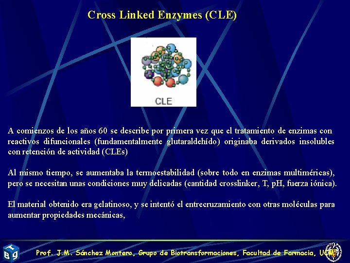 Cross Linked Enzymes (CLE) A comienzos de los años 60 se describe por primera