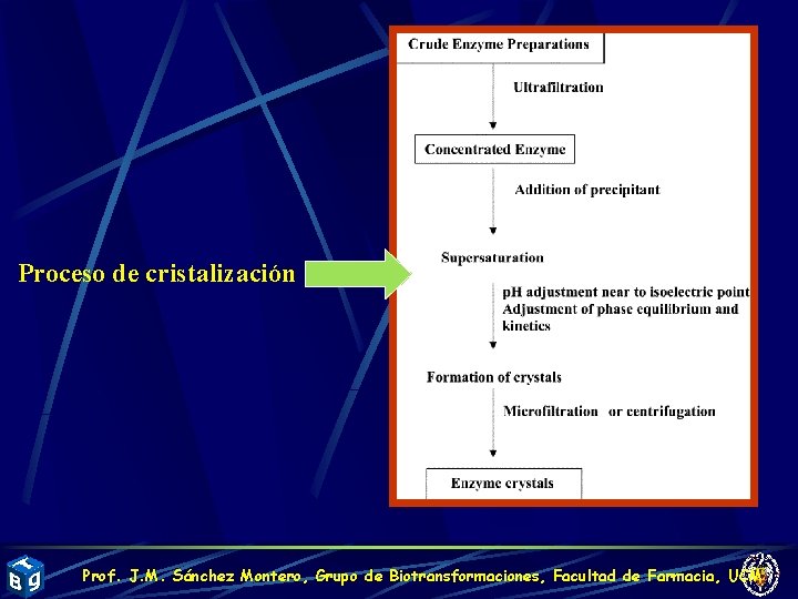 Proceso de cristalización Prof. J. M. Sánchez Montero, Grupo de Biotransformaciones, Facultad de Farmacia,