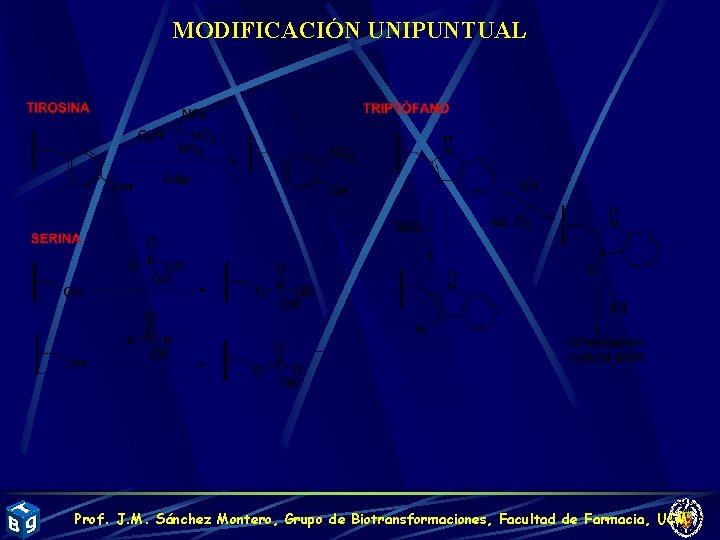 MODIFICACIÓN UNIPUNTUAL Prof. J. M. Sánchez Montero, Grupo de Biotransformaciones, Facultad de Farmacia, UCM