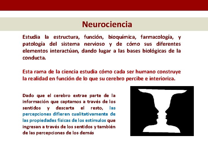 Neurociencia Estudia la estructura, función, bioquímica, farmacología, y patología del sistema nervioso y de