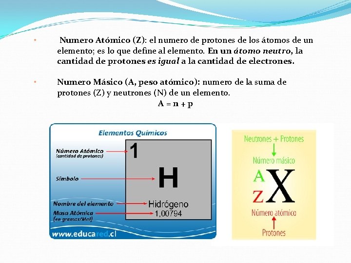  • Numero Atómico (Z): el numero de protones de los átomos de un