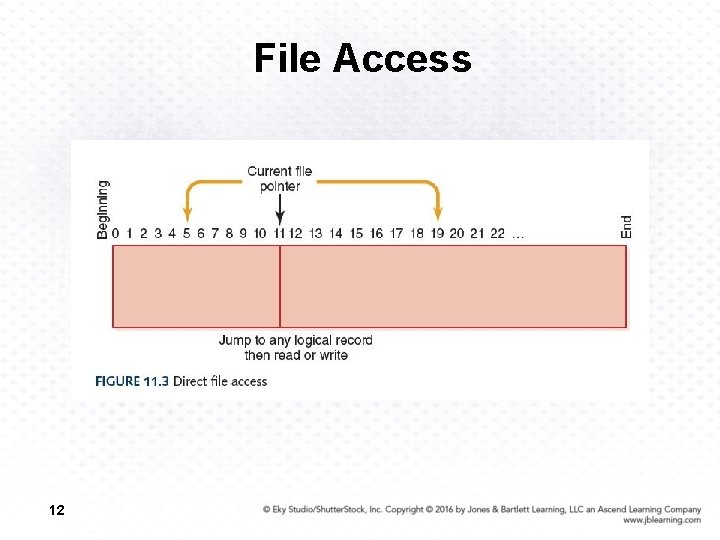 File Access 12 
