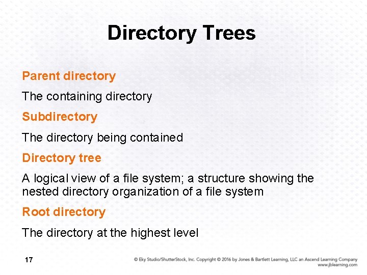 Directory Trees Parent directory The containing directory Subdirectory The directory being contained Directory tree