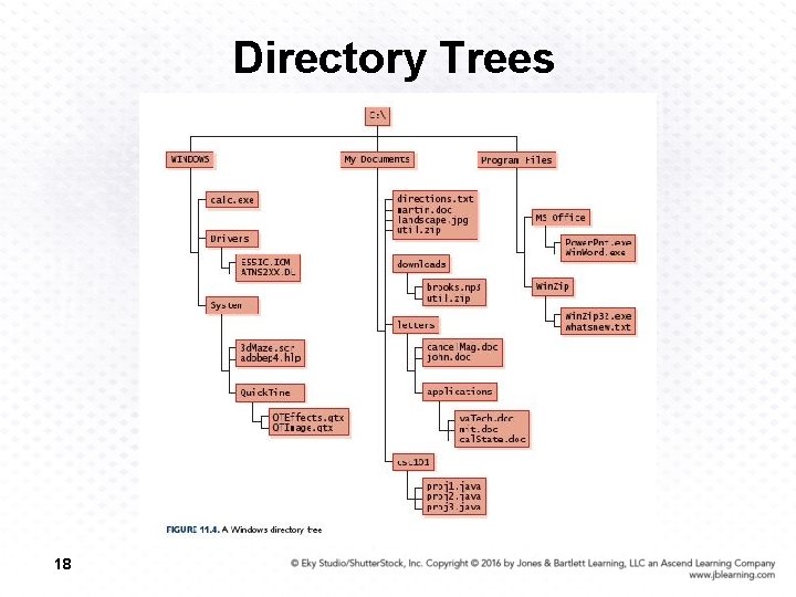 Directory Trees 18 