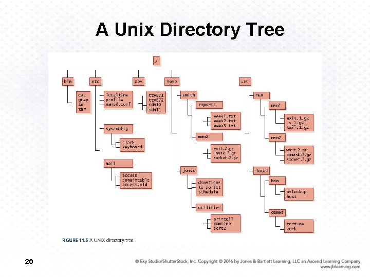 A Unix Directory Tree 20 