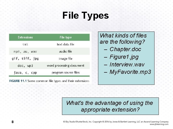 File Types What kinds of files are the following? – Chapter. doc – Figure