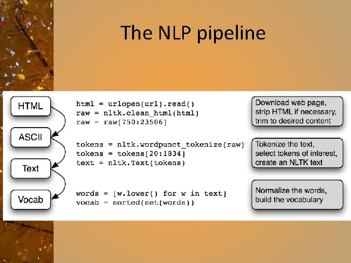The NLP pipeline 