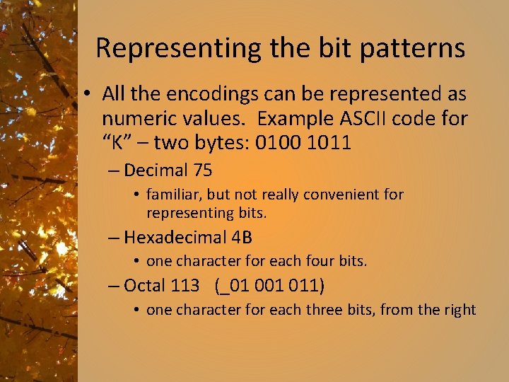 Representing the bit patterns • All the encodings can be represented as numeric values.