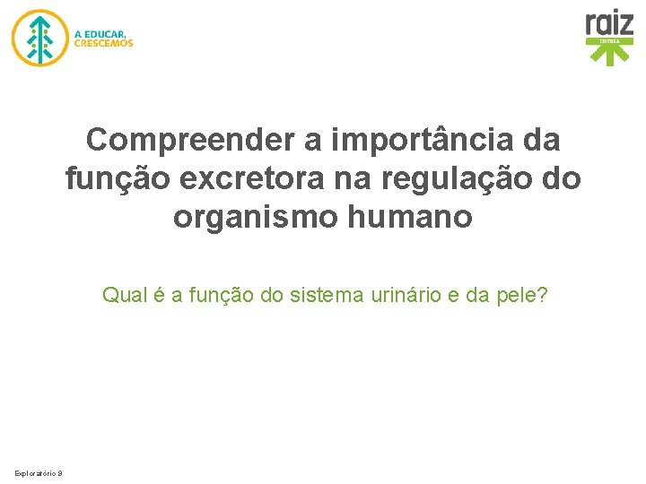 Compreender a importância da função excretora na regulação do organismo humano Qual é a