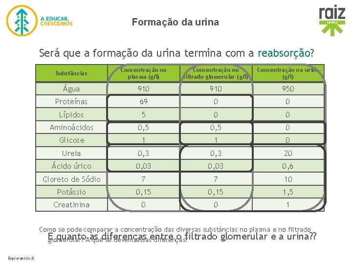 Formação da urina Será que a formação da urina termina com a reabsorção? Substâncias