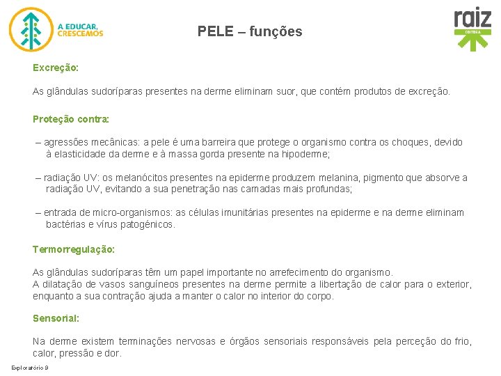 PELE – funções Excreção: As glândulas sudoríparas presentes na derme eliminam suor, que contém