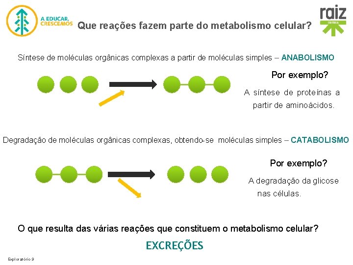 Que reações fazem parte do metabolismo celular? Síntese de moléculas orgânicas complexas a partir