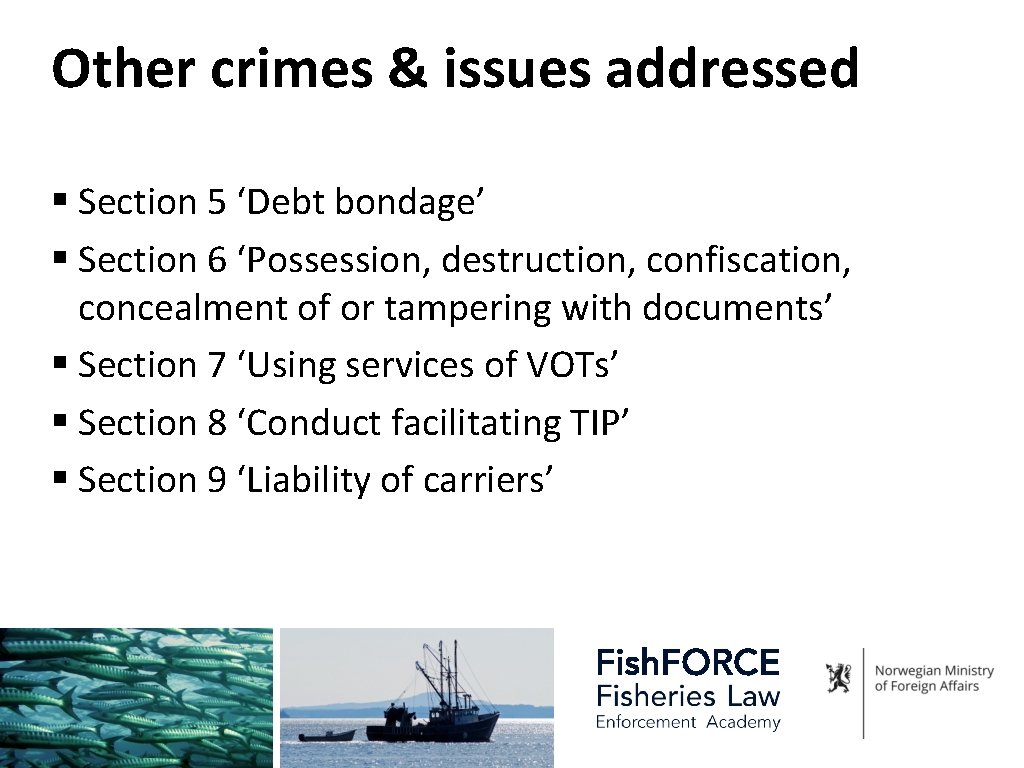 Other crimes & issues addressed § Section 5 ‘Debt bondage’ § Section 6 ‘Possession,