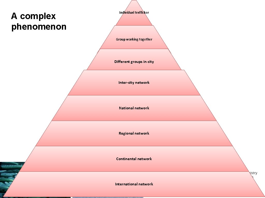 A complex phenomenon Individual trafficker Group working together Different groups in city Inter-city network