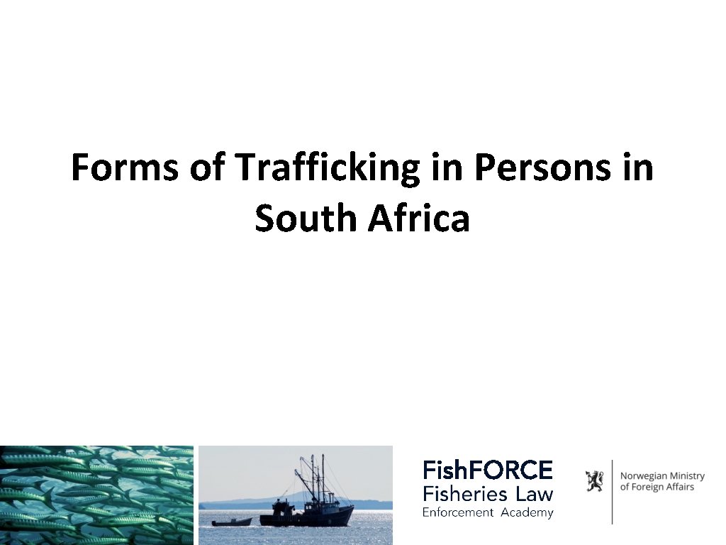 Forms of Trafficking in Persons in South Africa 