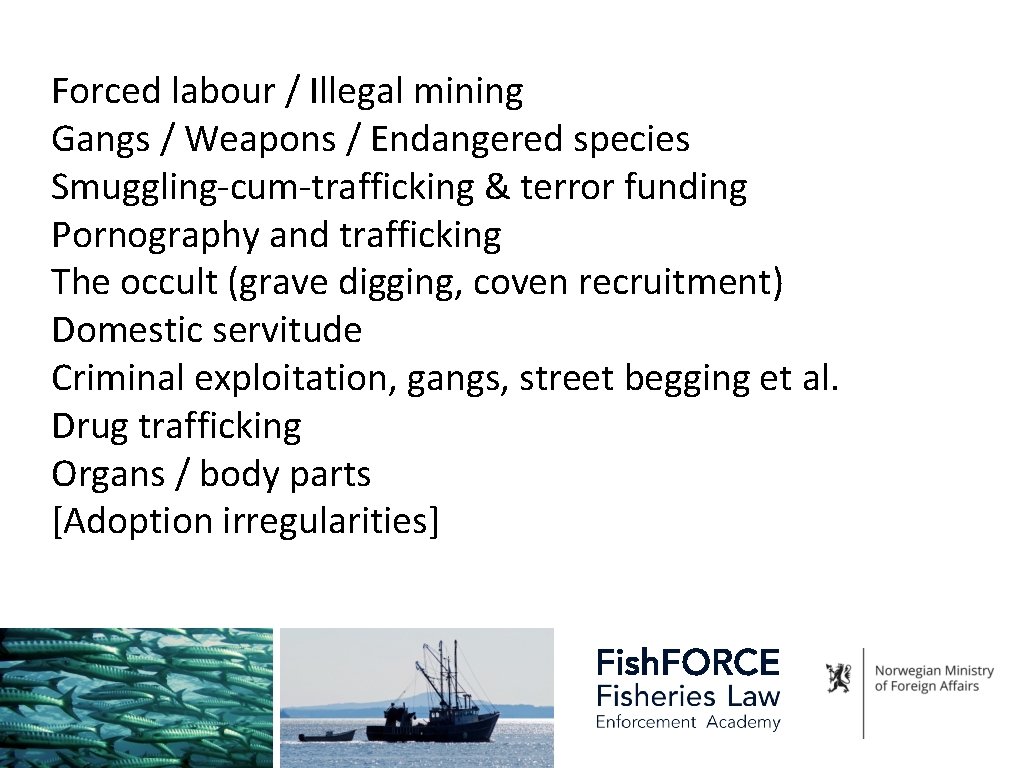 Forced labour / Illegal mining Gangs / Weapons / Endangered species Smuggling-cum-trafficking & terror