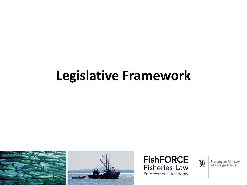 Legislative Framework 