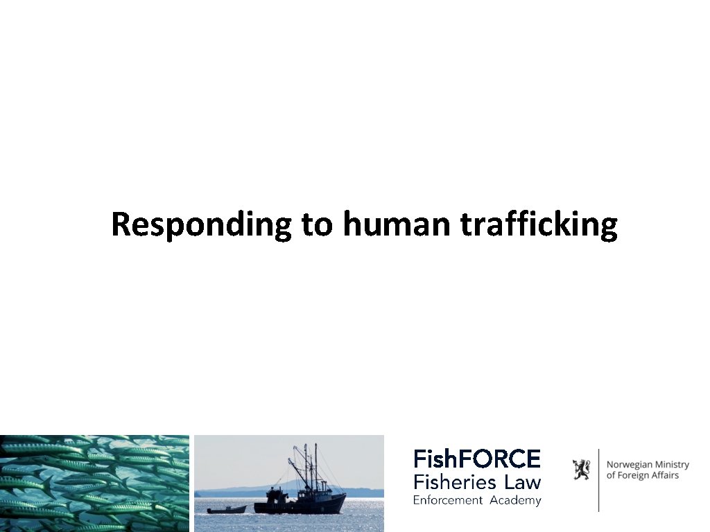 Responding to human trafficking 