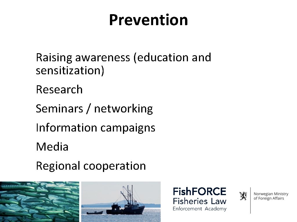 Prevention Raising awareness (education and sensitization) Research Seminars / networking Information campaigns Media Regional