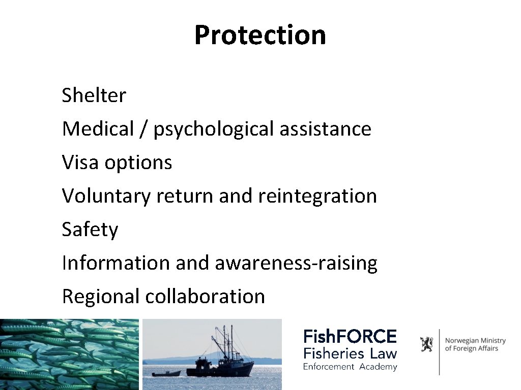 Protection Shelter Medical / psychological assistance Visa options Voluntary return and reintegration Safety Information