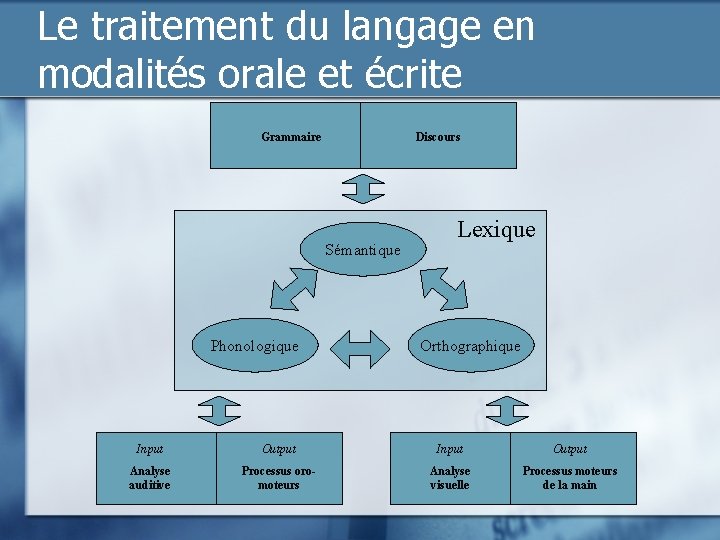 Comprendre la lecture et lcriture pour mieux prvenir