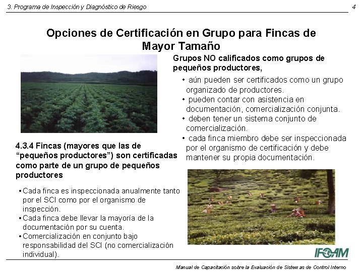 3. Programa de Inspección y Diagnóstico de Riesgo 4 Opciones de Certificación en Grupo 3. Programa de Inspección y Diagnóstico de Riesgo 4 Opciones de Certificación en Grupo
