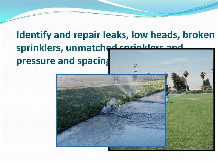 Identify and repair leaks, low heads, broken sprinklers, unmatched sprinklers and pressure and spacing