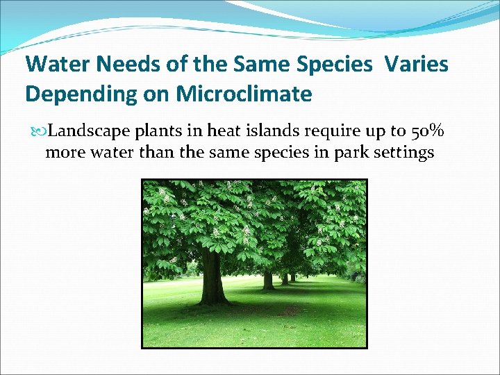 Water Needs of the Same Species Varies Depending on Microclimate Landscape plants in heat