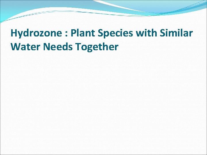 Hydrozone : Plant Species with Similar Water Needs Together 