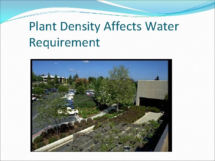 Plant Density Affects Water Requirement 