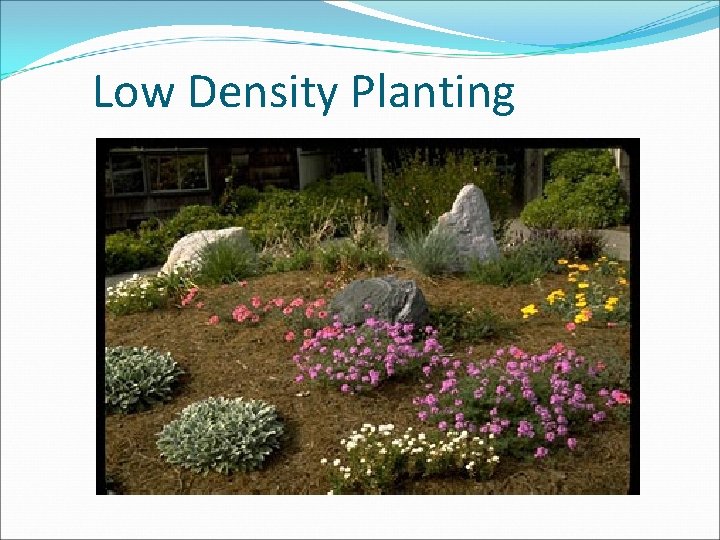 Low Density Planting 