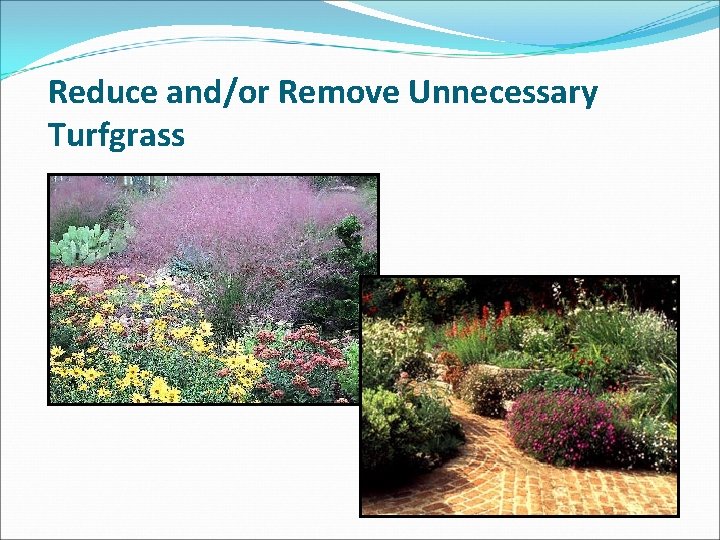 Reduce and/or Remove Unnecessary Turfgrass 