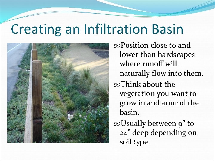 Creating an Infiltration Basin Position close to and lower than hardscapes where runoff will