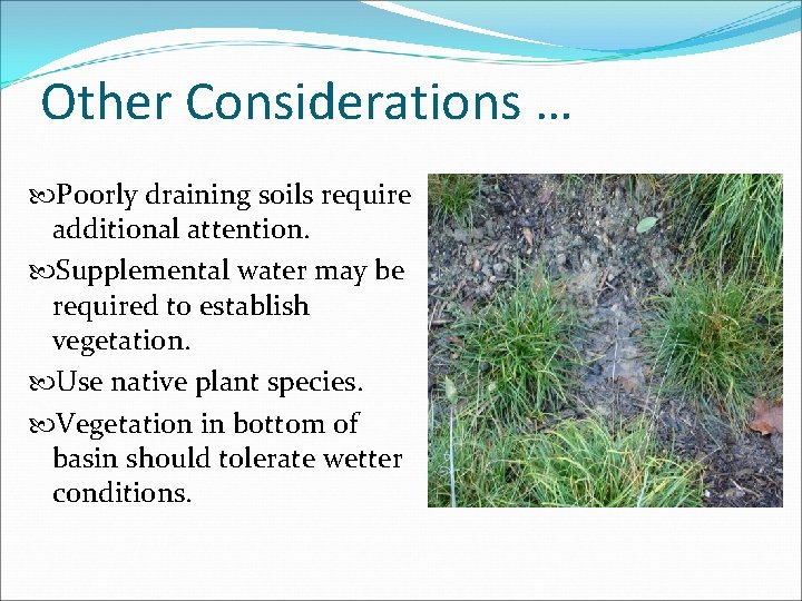 Other Considerations … Poorly draining soils require additional attention. Supplemental water may be required