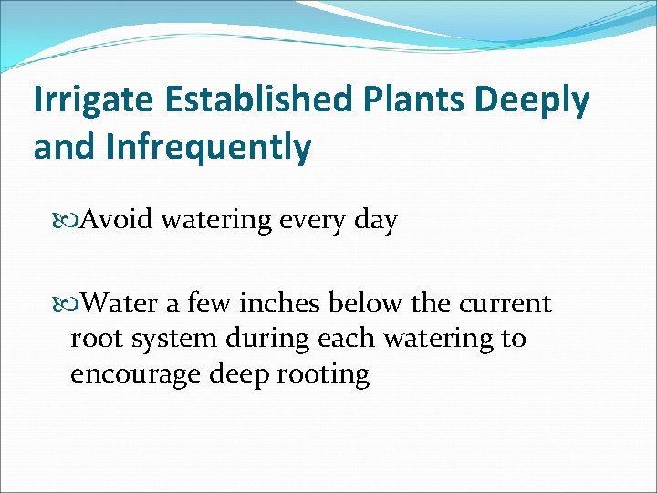 Irrigate Established Plants Deeply and Infrequently Avoid watering every day Water a few inches