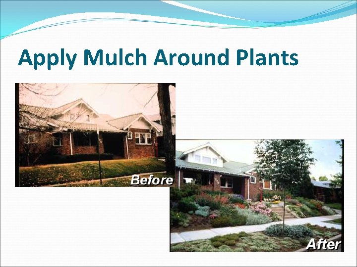 Apply Mulch Around Plants 