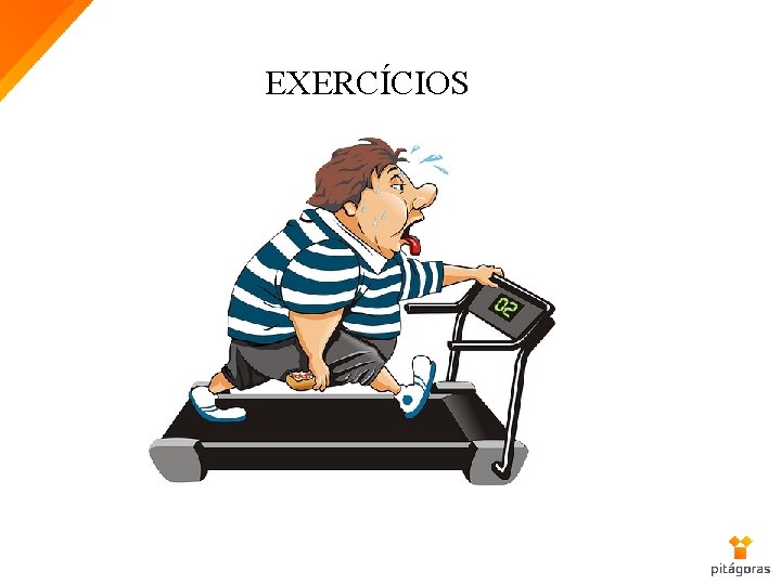 EXERCÍCIOS 