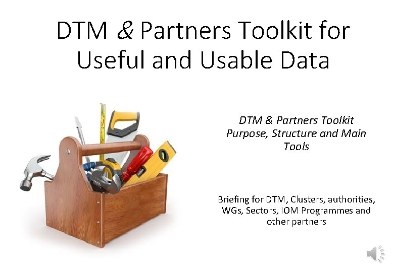 DTM & Partners Toolkit for Useful and Usable Data DTM & Partners Toolkit Purpose,