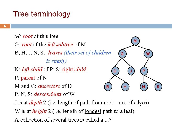 Tree terminology 6 M: root of this tree M G: root of the left