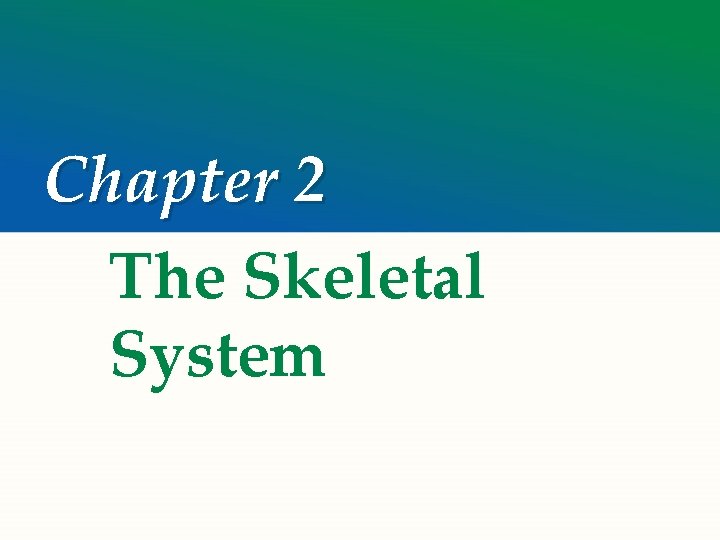 Chapter 2 The Skeletal System 