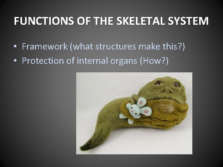 FUNCTIONS OF THE SKELETAL SYSTEM • Framework (what structures make this? ) • Protection