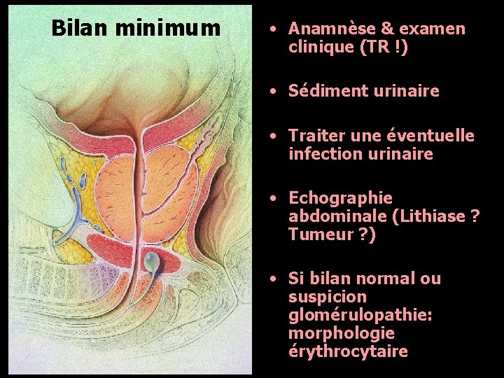 Bilan minimum • Anamnèse & examen clinique (TR !) • Sédiment urinaire • Traiter