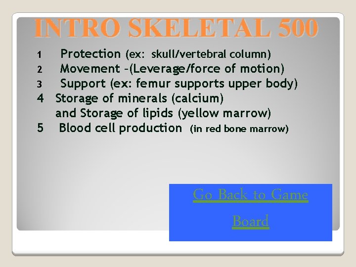 INTRO SKELETAL 500 Protection (ex: skull/vertebral column) Movement –(Leverage/force of motion) Support (ex: femur