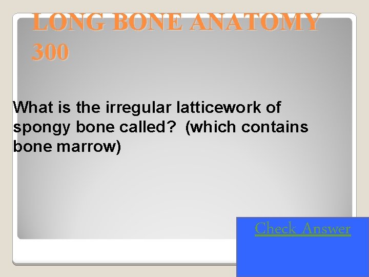 LONG BONE ANATOMY 300 What is the irregular latticework of spongy bone called? (which