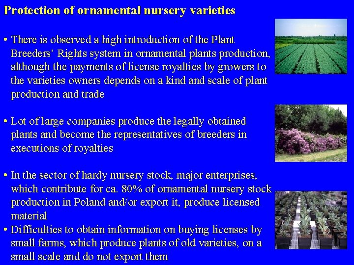 Protection of ornamental nursery varieties • There is observed a high introduction of the